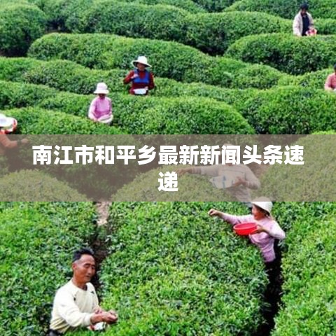 智慧學園SAAS運營服務 第33頁