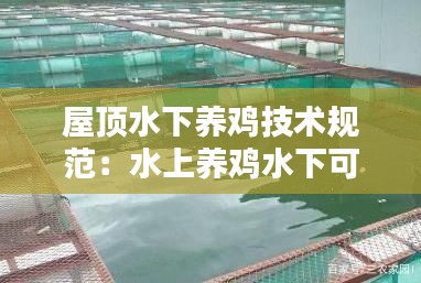 屋頂水下養(yǎng)雞技術(shù)規(guī)范：水上養(yǎng)雞水下可以養(yǎng)什么魚 