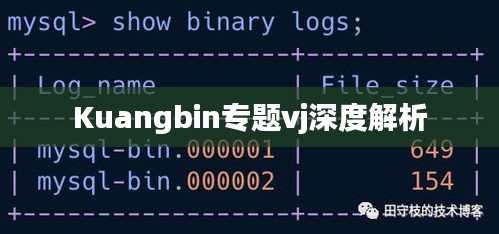 Kuangbin專題vj深度解析