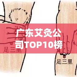 廣東艾灸公司TOP10榜單揭曉，權(quán)威排名，不容錯(cuò)過(guò)！