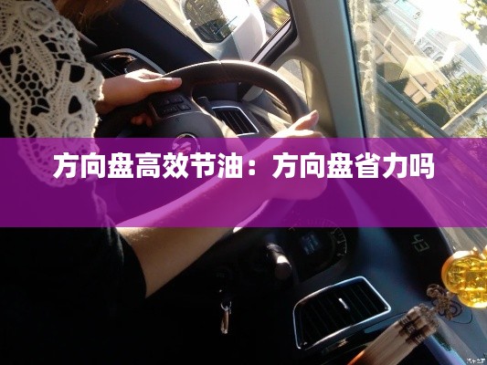 方向盤高效節油：方向盤省力嗎 