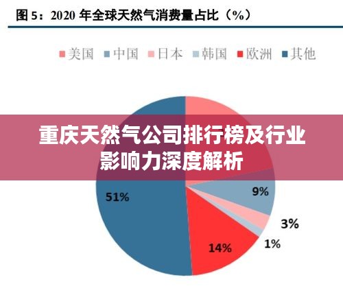 重慶天然氣公司排行榜及行業影響力深度解析