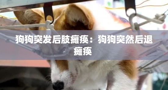 天潢貴胄