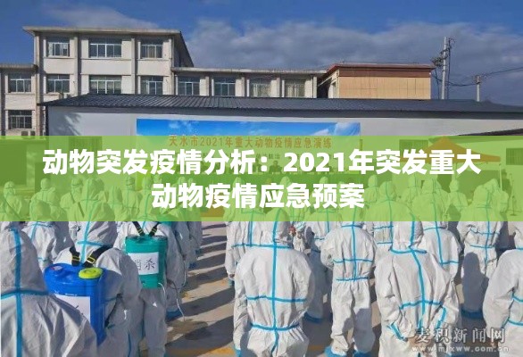 雞飛狗跳
