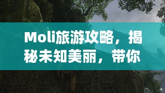 Moli旅游攻略，揭秘未知美麗，帶你探索神秘之地！