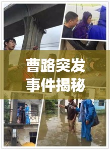 豪門貴胄