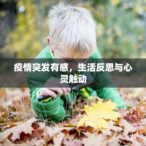疫情突發(fā)有感，生活反思與心靈觸動