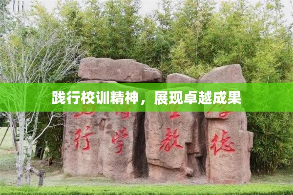 踐行校訓精神，展現卓越成果