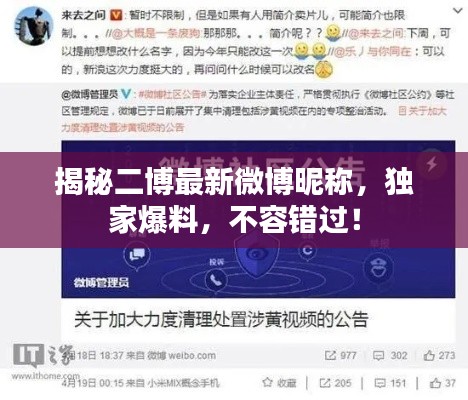 揭秘二博最新微博昵稱，獨家爆料，不容錯過！