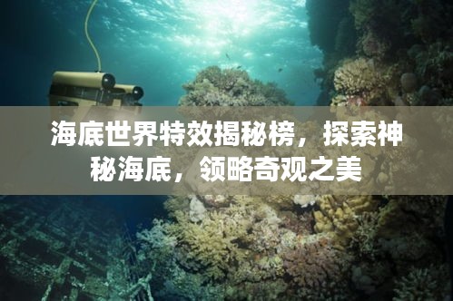 飛來橫禍