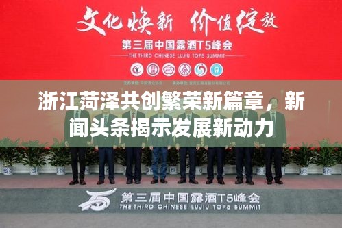 浙江菏澤共創繁榮新篇章，新聞頭條揭示發展新動力