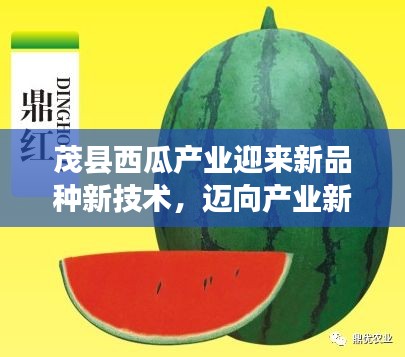 2025年2月9日 第8頁