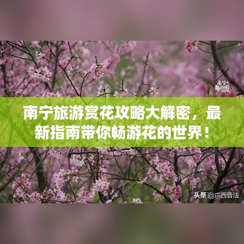 雅人韻士