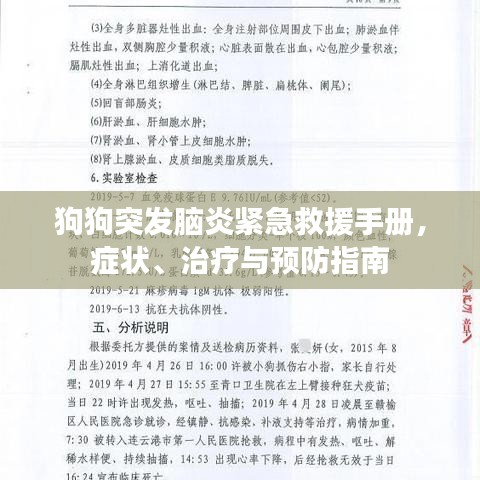 雪中送炭