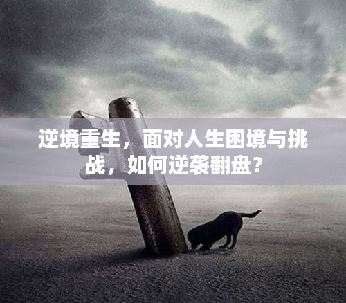 逆境重生，面對人生困境與挑戰(zhàn)，如何逆襲翻盤？