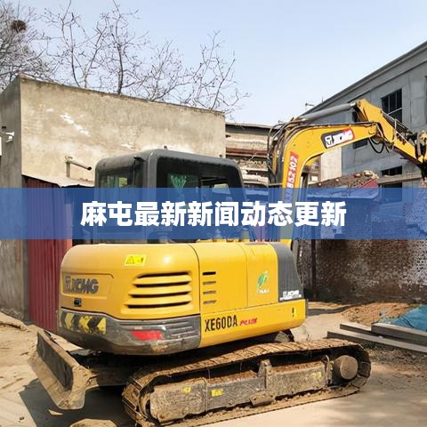 麻屯最新新聞動態(tài)更新