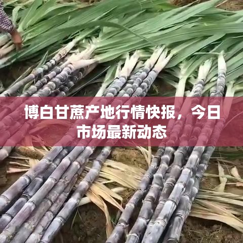 夫妻本是同