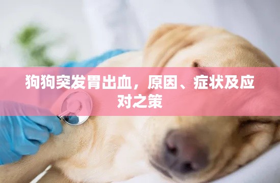橘虞初夢