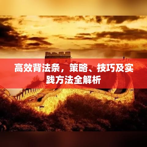 高效背法條，策略、技巧及實踐方法全解析