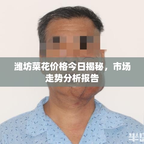 濰坊菜花價格今日揭秘，市場走勢分析報告