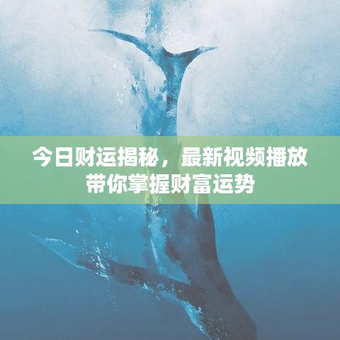 今日財運揭秘，最新視頻播放帶你掌握財富運勢