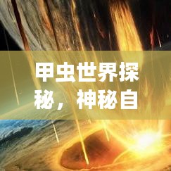 甲蟲世界探秘，神秘自然寶藏的旅游攻略
