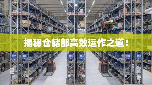 揭秘倉(cāng)儲(chǔ)部高效運(yùn)作之道！