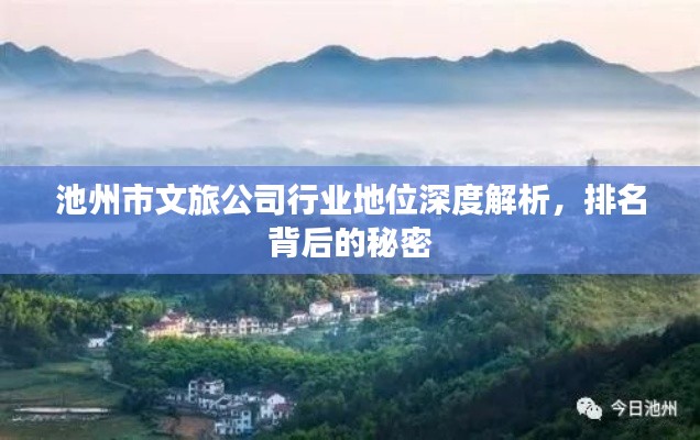 池州市文旅公司行業(yè)地位深度解析，排名背后的秘密