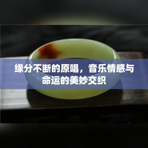 緣分不斷的原唱，音樂(lè)情感與命運(yùn)的美妙交織