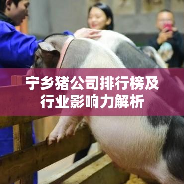 翰飛戾天