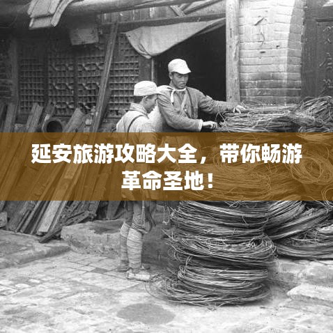 盡心竭力