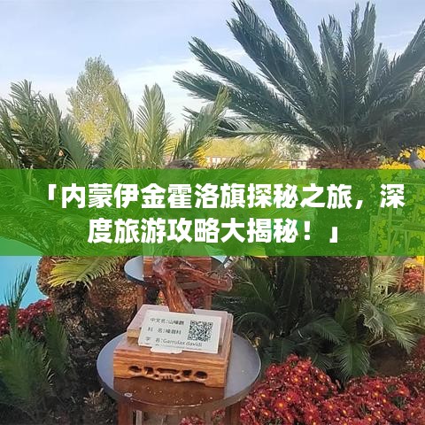 志在四方
