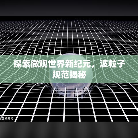 踴貴屨賤