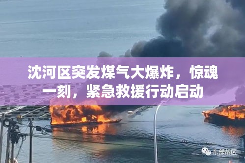 飯來張口