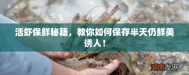 馬虎從事