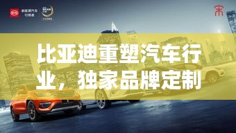 比亞迪重塑汽車行業，獨家品牌定制，開啟定制新紀元
