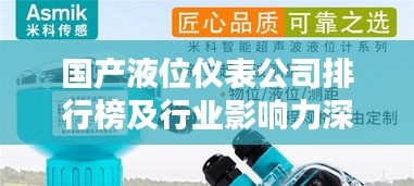 國產液位儀表公司排行榜及行業影響力深度解析