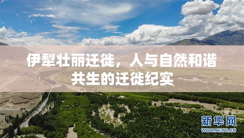 伊犁壯麗遷徙，人與自然和諧共生的遷徙紀實