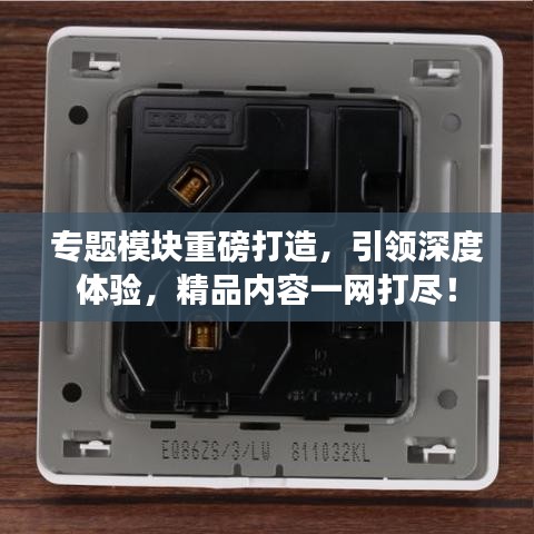 專題模塊重磅打造，引領深度體驗，精品內容一網打盡！