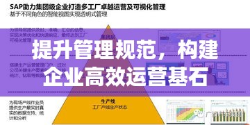 提升管理規范，構建企業高效運營基石