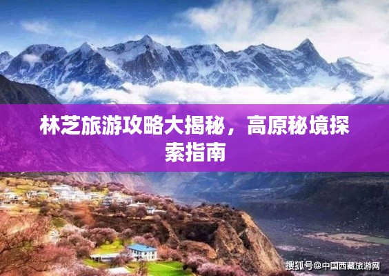 張狂妄行