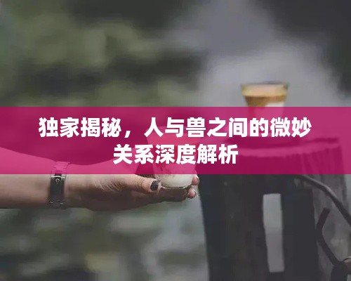 獨家揭秘，人與獸之間的微妙關系深度解析