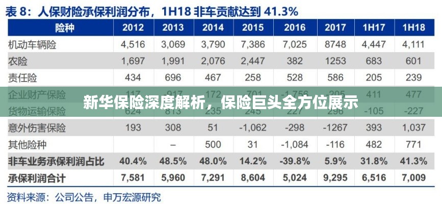 新華保險深度解析，保險巨頭全方位展示