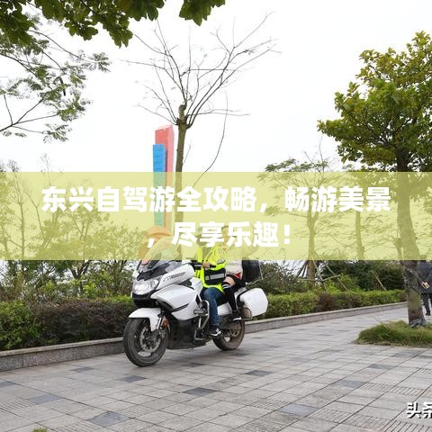 東興自駕游全攻略，暢游美景，盡享樂(lè)趣！