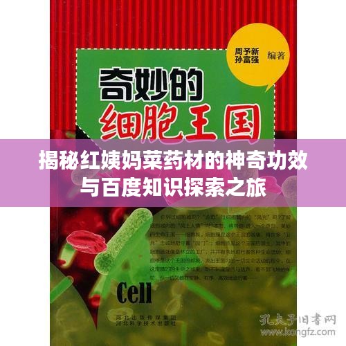 揭秘紅姨媽菜藥材的神奇功效與百度知識探索之旅