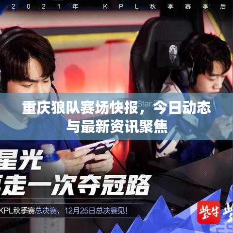 重慶狼隊賽場快報，今日動態與最新資訊聚焦