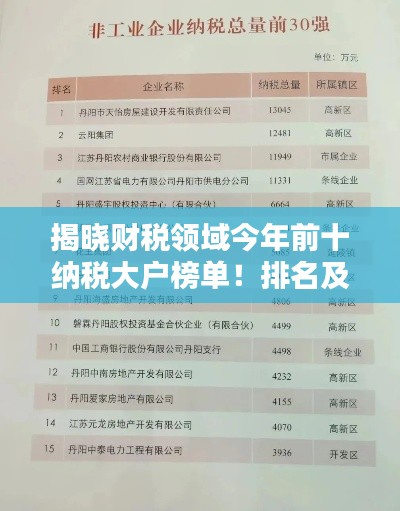 揭曉財稅領域今年前十納稅大戶榜單！排名及實力一網打盡