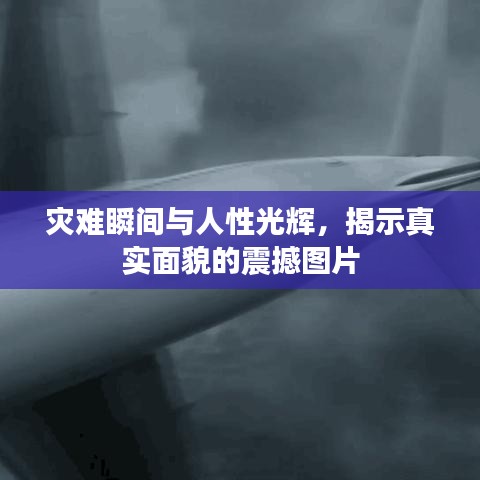 災難瞬間與人性光輝，揭示真實面貌的震撼圖片