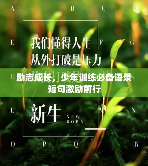 2025年3月1日
