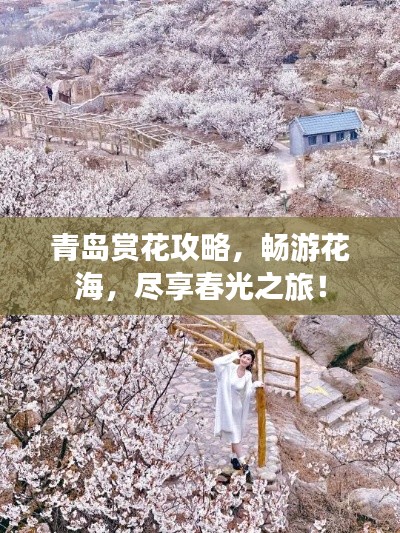 青島賞花攻略，暢游花海，盡享春光之旅！